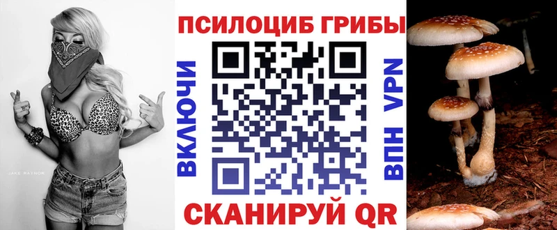 Купить закладки  Окуловка  Псилоцибиновые грибы мухоморы 
